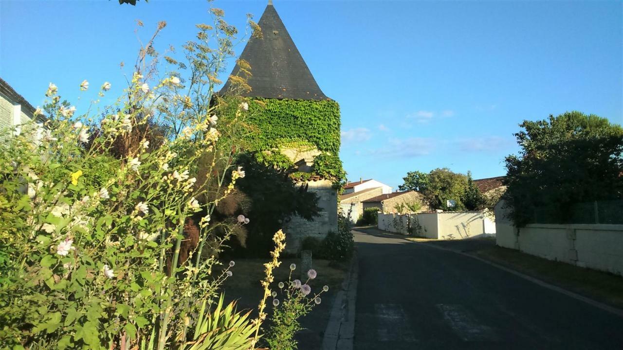 Les Gites Du Vigneron Et Cd'H Saint-Seurin-de-Palenne Ngoại thất bức ảnh
