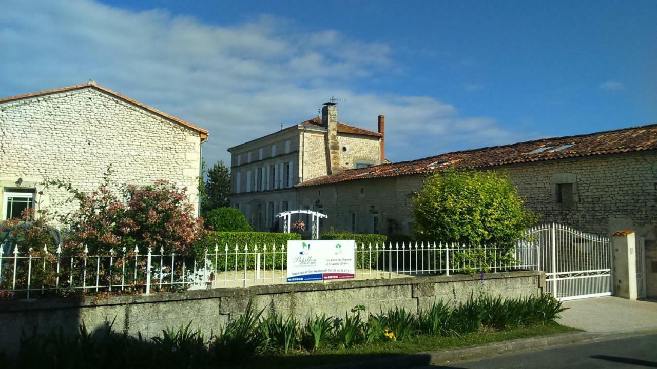 Les Gites Du Vigneron Et Cd'H Saint-Seurin-de-Palenne Ngoại thất bức ảnh